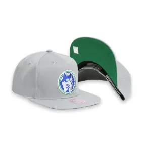 [6HSSJS19079-MTIGREY] Minnesota Timberwolves Grey Men's Snapback