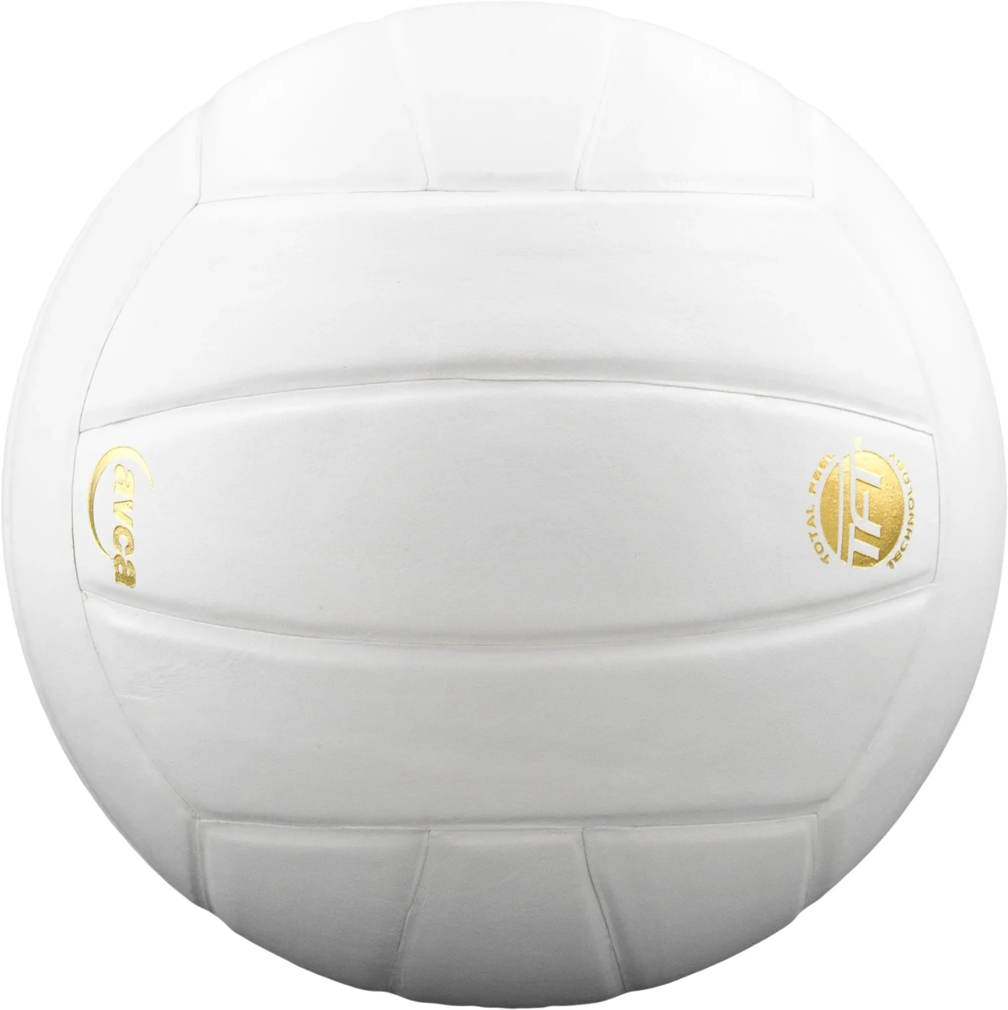 Baden Perfection Leather Volleyball