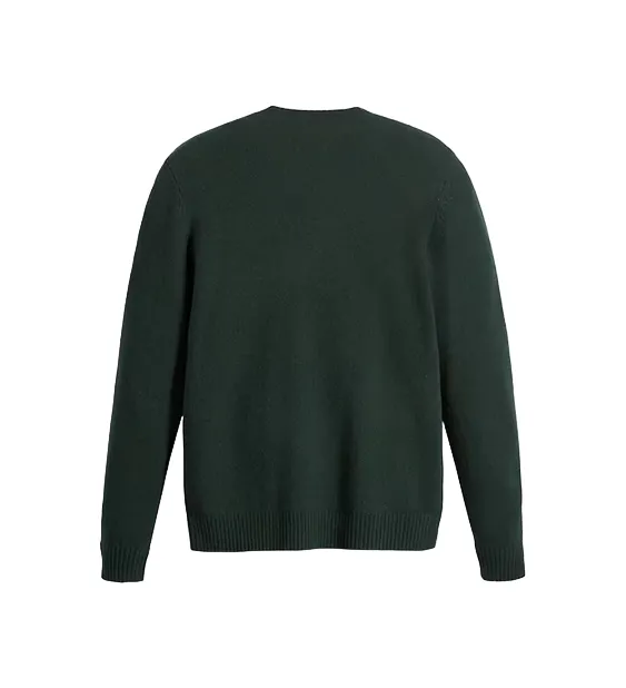 Levi's men's crew neck long sleeve sweater A4320-0007 green