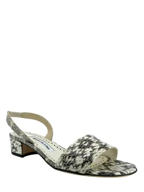 MANOLO BLAHNIK Patopia Snakeskin Slingbacks Size 7.5